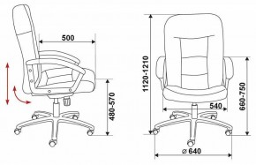 Кресло компьютерное Бюрократ T-9908AXSN-AB в Ханты-Мансийске - hanty-mansiysk.mebel24.online | фото 6