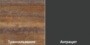 Кухонный гарнитур угловой Трансильвания 2600х1600 мм (Стол. 26 мм) в Ханты-Мансийске - hanty-mansiysk.mebel24.online | фото 3