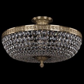 Люстра на штанге Bohemia Ivele Crystal 1911 19111/45IV Pa в Ханты-Мансийске - hanty-mansiysk.mebel24.online | фото 2