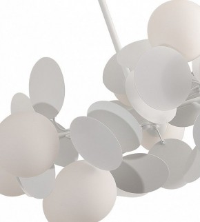 Люстра на штанге Kink Light Матиас 074160-10,01(01) в Ханты-Мансийске - hanty-mansiysk.mebel24.online | фото 2