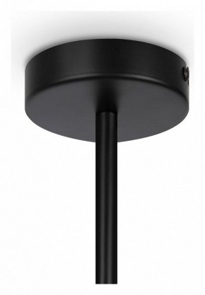 Люстра на штанге Maytoni Memory MOD177PL-04B в Ханты-Мансийске - hanty-mansiysk.mebel24.online | фото 4