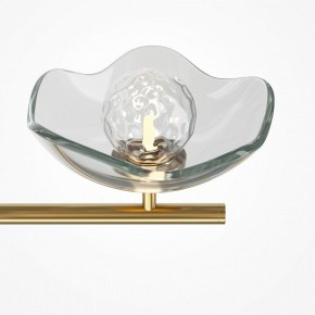 Люстра на штанге Maytoni Miracle MOD207PL-05BS в Ханты-Мансийске - hanty-mansiysk.mebel24.online | фото 5