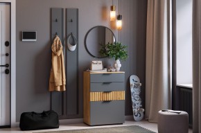 МЕБЕЛЬСОН К21 Прихожая  (графит) в Ханты-Мансийске - hanty-mansiysk.mebel24.online | фото