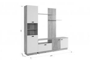 МОДИ Гостиная (модульная) белое дерево в Ханты-Мансийске - hanty-mansiysk.mebel24.online | фото 2