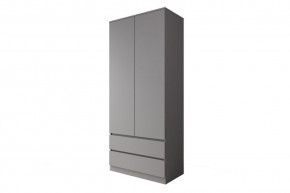 МОРИ МШ 900.2 Шкаф (графит) в Ханты-Мансийске - hanty-mansiysk.mebel24.online | фото 1