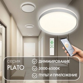 Накладной светильник Denkirs PLATO DK6511-WH/1 в Ханты-Мансийске - hanty-mansiysk.mebel24.online | фото 4