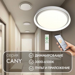 Накладной светильник Denkirs Cany DK6516-WH в Ханты-Мансийске - hanty-mansiysk.mebel24.online | фото 5