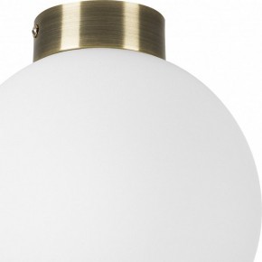 Накладной светильник Lightstar Globo 812021 в Ханты-Мансийске - hanty-mansiysk.mebel24.online | фото 3