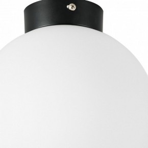 Накладной светильник Lightstar Globo 812027 в Ханты-Мансийске - hanty-mansiysk.mebel24.online | фото 2