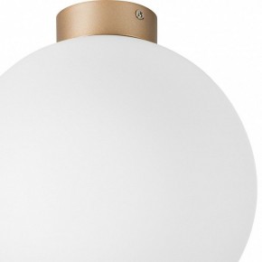 Накладной светильник Lightstar Globo 812033 в Ханты-Мансийске - hanty-mansiysk.mebel24.online | фото 2