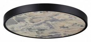 Накладной светильник Odeon Light Bergi 5064/50L в Ханты-Мансийске - hanty-mansiysk.mebel24.online | фото 3
