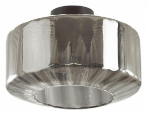 Накладной светильник Odeon Light Binga 4746/1C в Ханты-Мансийске - hanty-mansiysk.mebel24.online | фото 2