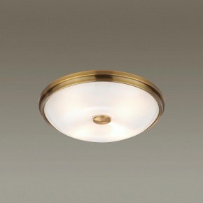 Накладной светильник Odeon Light Pelow 4956/4 в Ханты-Мансийске - hanty-mansiysk.mebel24.online | фото 2