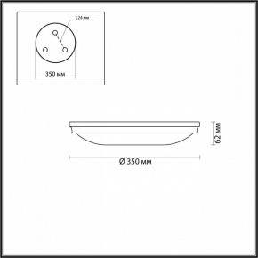 Накладной светильник Odeon Light Pelow 4956/4 в Ханты-Мансийске - hanty-mansiysk.mebel24.online | фото 3