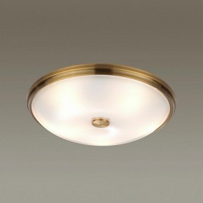 Накладной светильник Odeon Light Pelow 4956/5 в Ханты-Мансийске - hanty-mansiysk.mebel24.online | фото 2