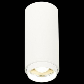 Накладной светильник ST-Luce Zoom ST600.542.10 в Ханты-Мансийске - hanty-mansiysk.mebel24.online | фото 3