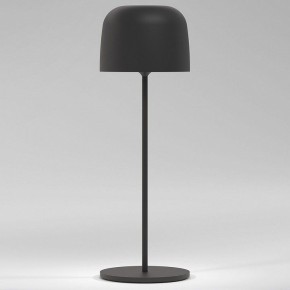 Настольная лампа декоративная Elektrostandard Bitty a069002 в Ханты-Мансийске - hanty-mansiysk.mebel24.online | фото