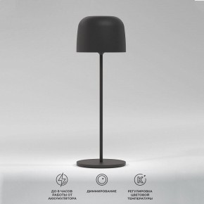 Настольная лампа декоративная Elektrostandard Bitty a069002 в Ханты-Мансийске - hanty-mansiysk.mebel24.online | фото 2