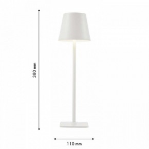 Настольная лампа декоративная F-promo Pyari 4614-1T в Ханты-Мансийске - hanty-mansiysk.mebel24.online | фото 3