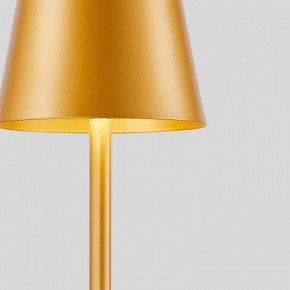 Настольная лампа декоративная F-promo Pyari 4616-1T в Ханты-Мансийске - hanty-mansiysk.mebel24.online | фото 5