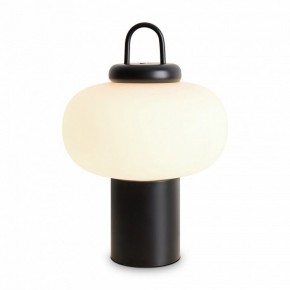 Настольная лампа декоративная Freya Take FR6175TL-L10B в Ханты-Мансийске - hanty-mansiysk.mebel24.online | фото