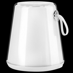 Настольная лампа декоративная Lightstar Alfa 745950 в Ханты-Мансийске - hanty-mansiysk.mebel24.online | фото 2