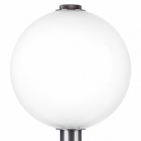 Настольная лампа декоративная Lightstar Colore 805916 в Ханты-Мансийске - hanty-mansiysk.mebel24.online | фото 6