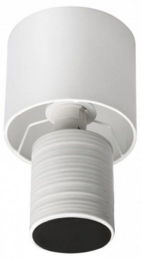 Настольная лампа декоративная Lumion Tuala 8144/1Т в Ханты-Мансийске - hanty-mansiysk.mebel24.online | фото 3