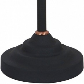 Настольная лампа офисная Arte Lamp Braccio A2054LT-1BK в Ханты-Мансийске - hanty-mansiysk.mebel24.online | фото 4
