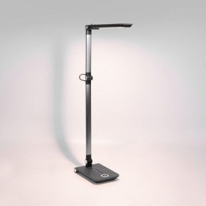 Настольная лампа офисная Elektrostandard Great a065290 в Ханты-Мансийске - hanty-mansiysk.mebel24.online | фото 3