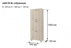 ШО-53 В тумба для обуви в Ханты-Мансийске - hanty-mansiysk.mebel24.online | фото 8