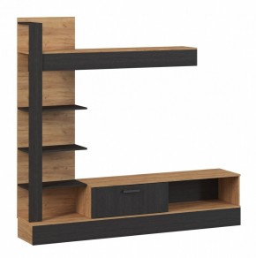 ОСКАР 5 Гостиная (дуб золотой/венге) в Ханты-Мансийске - hanty-mansiysk.mebel24.online | фото 2