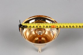 Подвесная люстра Aployt Daniele APL.701.03.12 в Ханты-Мансийске - hanty-mansiysk.mebel24.online | фото 6