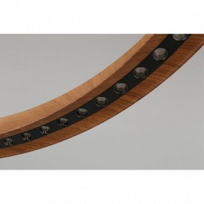 Подвесная люстра Aployt Justyna APL.787.03.75 в Ханты-Мансийске - hanty-mansiysk.mebel24.online | фото 10