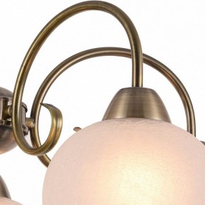 Подвесная люстра Arte Lamp Margo A9317LM-5AB в Ханты-Мансийске - hanty-mansiysk.mebel24.online | фото 3