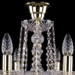 Подвесная люстра Bohemia Ivele Crystal 1402 1402/8/195/G/tube в Ханты-Мансийске - hanty-mansiysk.mebel24.online | фото 4