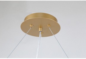 Подвесная люстра Favourite Ginkoa 4080-10P в Ханты-Мансийске - hanty-mansiysk.mebel24.online | фото 9