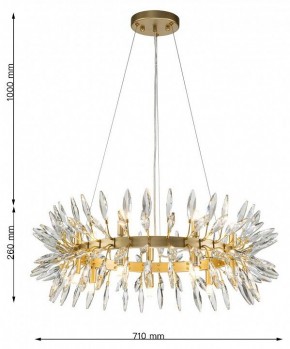 Подвесная люстра Favourite Rays 4058-14P в Ханты-Мансийске - hanty-mansiysk.mebel24.online | фото 7