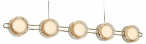 Подвесная люстра Favourite Yo-yo 4334-10P в Ханты-Мансийске - hanty-mansiysk.mebel24.online | фото