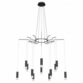 Подвесная люстра Maytoni Davida MOD035PL-12B в Ханты-Мансийске - hanty-mansiysk.mebel24.online | фото 2