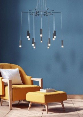 Подвесная люстра Maytoni Davida MOD035PL-12B в Ханты-Мансийске - hanty-mansiysk.mebel24.online | фото 5