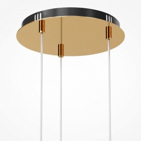 Подвесная люстра Maytoni Drop MOD273PL-L33G3K в Ханты-Мансийске - hanty-mansiysk.mebel24.online | фото 6