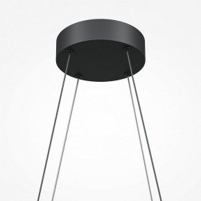 Подвесная люстра Maytoni Halo MOD244PL-L50BK в Ханты-Мансийске - hanty-mansiysk.mebel24.online | фото 5