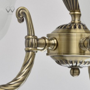 Подвесная люстра MW-Light Ариадна 20 450016305 в Ханты-Мансийске - hanty-mansiysk.mebel24.online | фото 10