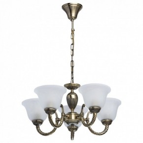 Подвесная люстра MW-Light Ариадна 20 450016305 в Ханты-Мансийске - hanty-mansiysk.mebel24.online | фото 2