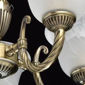 Подвесная люстра MW-Light Ариадна 20 450016305 в Ханты-Мансийске - hanty-mansiysk.mebel24.online | фото 6