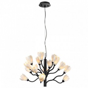 Подвесная люстра Odeon Light Gardi 5090/15 в Ханты-Мансийске - hanty-mansiysk.mebel24.online | фото 2