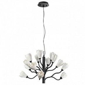Подвесная люстра Odeon Light Gardi 5090/15 в Ханты-Мансийске - hanty-mansiysk.mebel24.online | фото 3