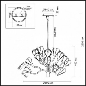 Подвесная люстра Odeon Light Gardi 5090/15 в Ханты-Мансийске - hanty-mansiysk.mebel24.online | фото 6