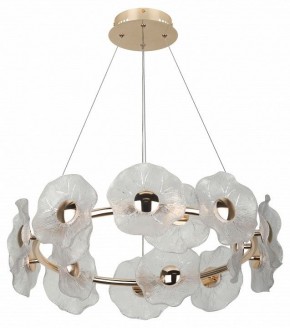 Подвесная люстра Rivoli Shannon Б0061947 в Ханты-Мансийске - hanty-mansiysk.mebel24.online | фото 4